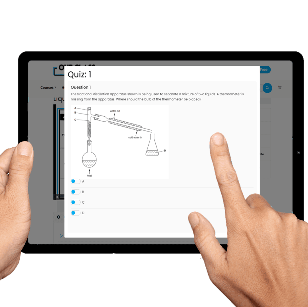 Sample image of quiz